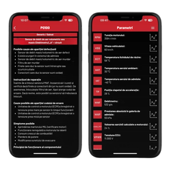 Pogram de diagnosticare auto SDPROG in limba romana